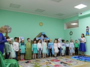 IMG 7338