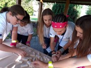 42439058 1724274621015277 7979611686174720000 o