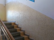 71241820 616126815458509 7323905862387367936 n